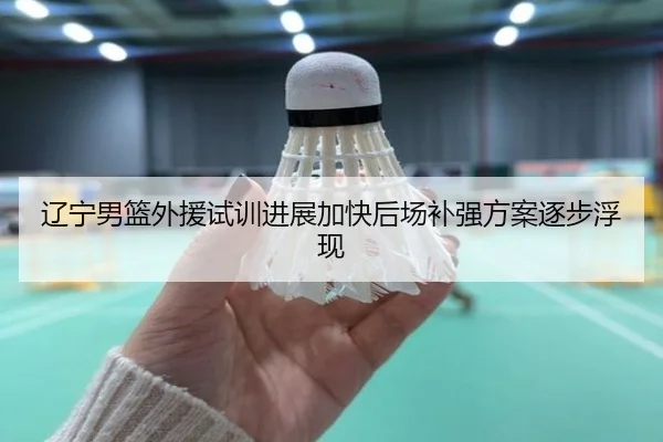 辽宁男篮外援试训进展加快后场补强方案逐步浮现